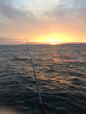 ちょっと難しいサビキ釣り
