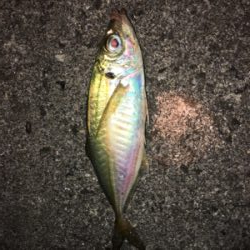 今日は子供会の日?