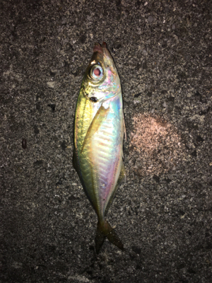 今日は子供会の日?