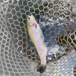 川場キングダムフィッシング