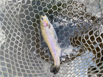 川場キングダムフィッシング