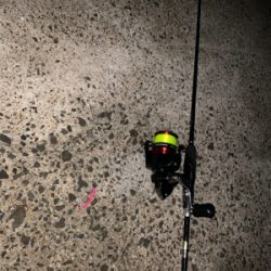 アジング始めました! こりゃおもろいわ!