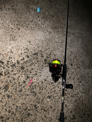 アジング始めました! こりゃおもろいわ!