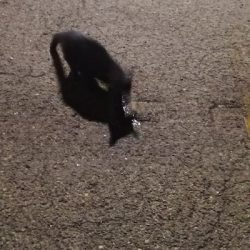 アジング練習 192