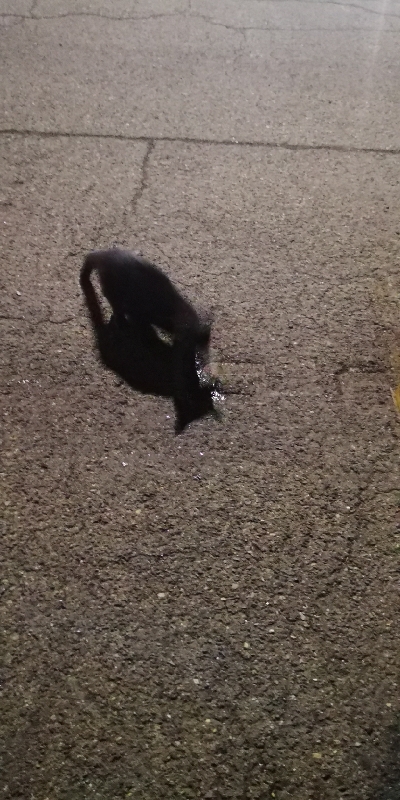 アジング練習 192