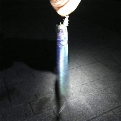 大阪湾奥アジング イワシ多い