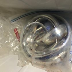 今季　初お目見え