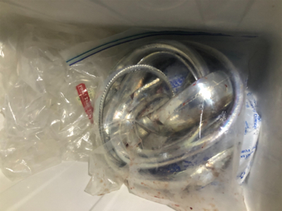 今季　初お目見え