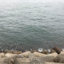 タチウオ&サゴシ！2020ライトゲーム第27戦