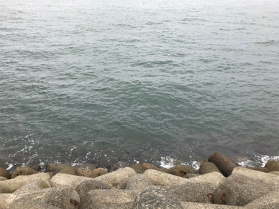 タチウオ&サゴシ！2020ライトゲーム第27戦