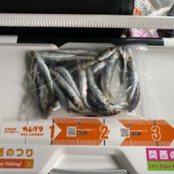 太刀魚釣り、サビキ釣り、投げ釣り