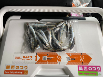 太刀魚釣り、サビキ釣り、投げ釣り