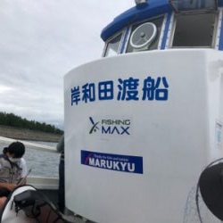 人生初のタチウオ！その引きと美味にハマりそうw