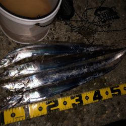 最後にドラゴン来たか〜？