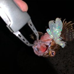 仕事帰りロック！