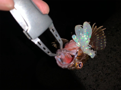 仕事帰りロック！