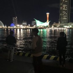 ワイワイアジング