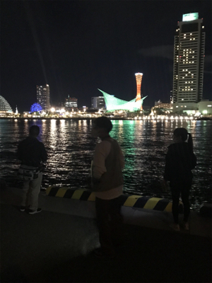 ワイワイアジング