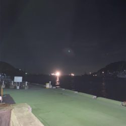 エギングのはずがアジング⑦