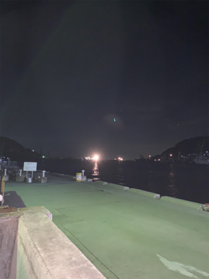 エギングのはずがアジング⑦