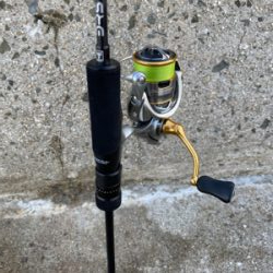 久しぶりの投稿