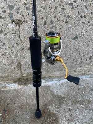 久しぶりの投稿