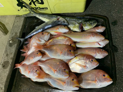 マイボートでアマダイ狙い