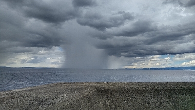 佐野一文字新子調査‼️