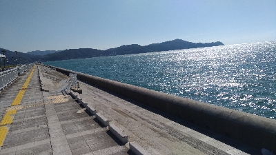 9/8釣果タチウオグレサバ