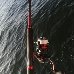 2週連続 サヨリちゃん