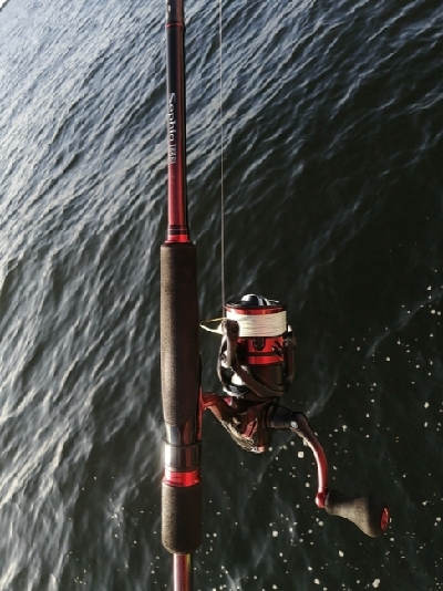 2週連続 サヨリちゃん