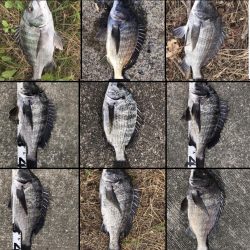 イチノ兄弟、釣果！