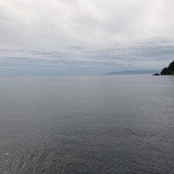 2020 佐渡ヶ島エギング 12回目