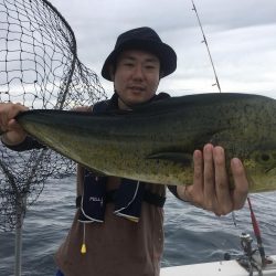 カツオにメーターオーバーシイラ連発　ルアー船　大宝丸