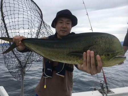 カツオにメーターオーバーシイラ連発　ルアー船　大宝丸