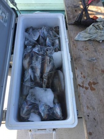 クーラー満タン　中深海　激ウマ黒ムツ釣り　駿河湾　大宝丸