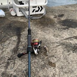 仕事終わりからの