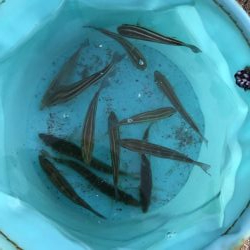 釣果も記憶も寒い!