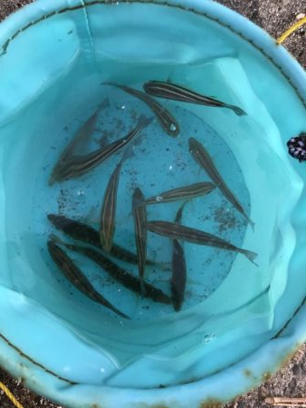 釣果も記憶も寒い!