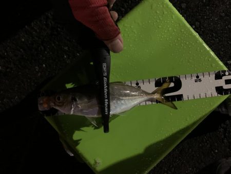 此処は大阪湾奥？