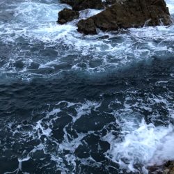 2020 佐渡ヶ島エギング 5回目