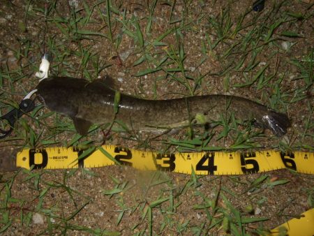 いよいよシーズン終盤の良い時期に