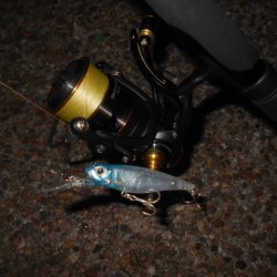 まだまだ夏ですね…。