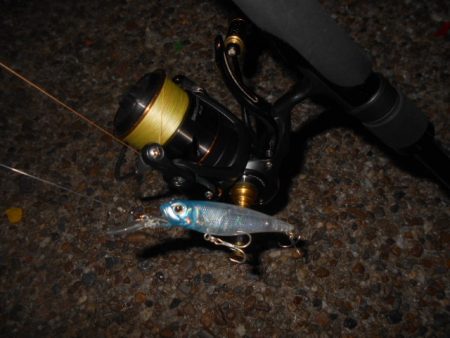 まだまだ夏ですね…。