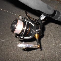 活性は上向き♪。