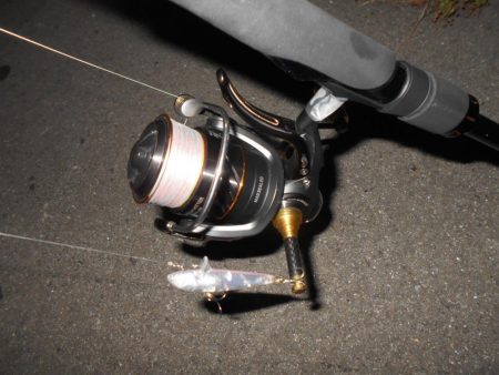 活性は上向き♪。