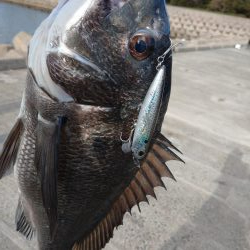 トップゲーム!!