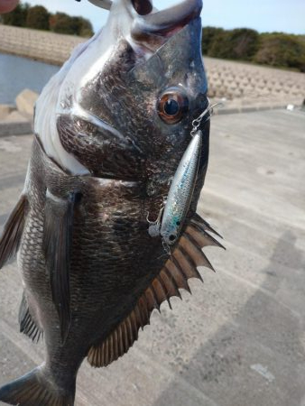 トップゲーム!!