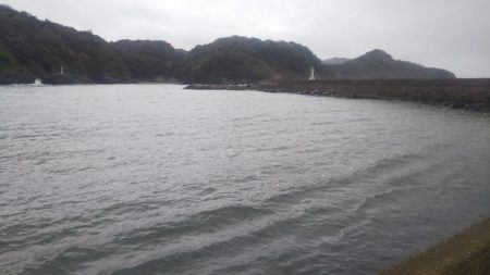 チヌ狙いサヨリ後サゴシ