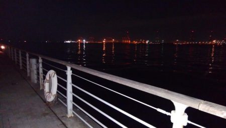 南港タチウオ調査開始